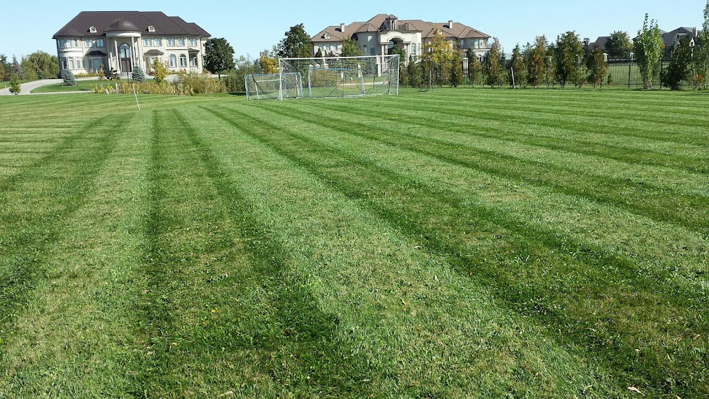 Bro Crete & Landscaping LTD. | 2205 King St, Cheltenham, ON L7C 0S7, Canada | Phone: (647) 606-4882