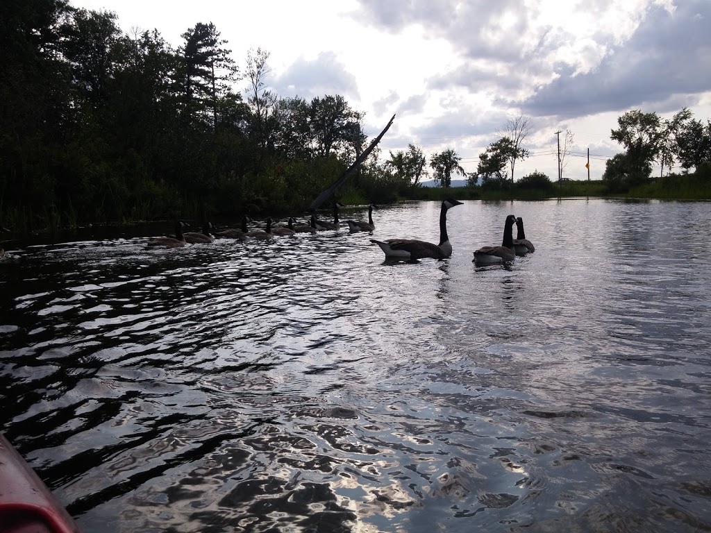 Réserve naturelle Quilliams-Durrull | Lac-Brome, QC J0E 1R0, Canada