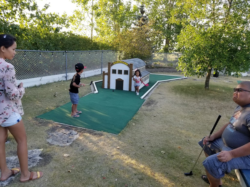 The Drive In at Manitou Beach | SK-365, Manitou Beach, SK S0K 4T1, Canada | Phone: (306) 946-2831