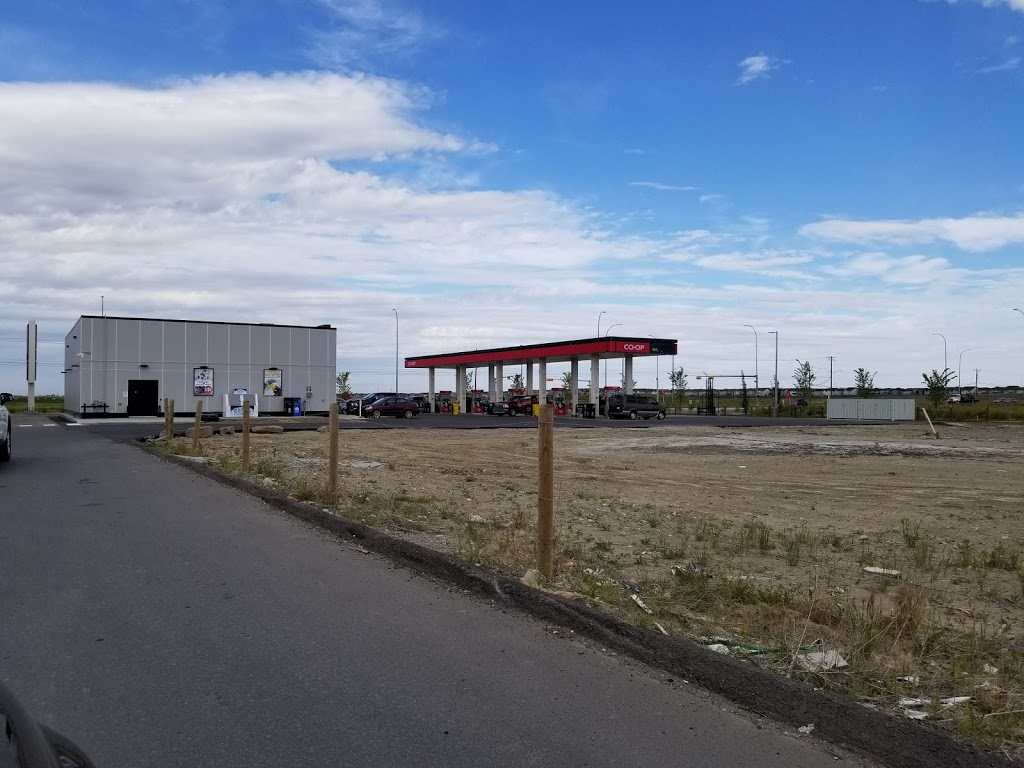 Co-op Gas Station Jacksonport | 11281 38 St NE, Calgary, AB T3N 1A6, Canada | Phone: (403) 226-4768