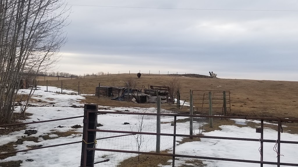 CareAlot Acres | 51110A Range Rd 270, Spruce Grove, AB T7Y 1G7, Canada | Phone: (780) 907-6500