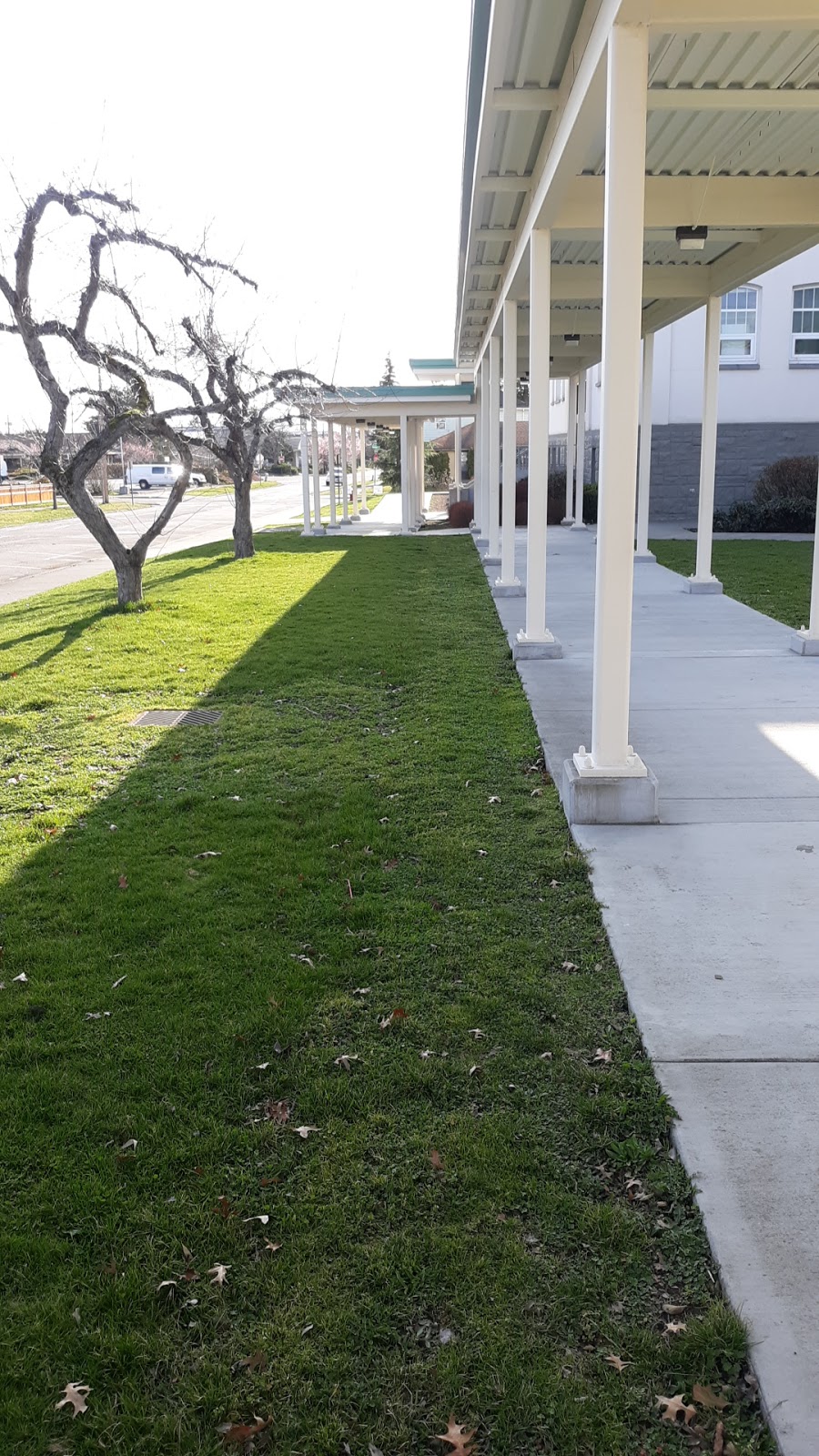 Whatcom Middle School | 810 Halleck St, Bellingham, WA 98225, USA | Phone: (360) 676-6460