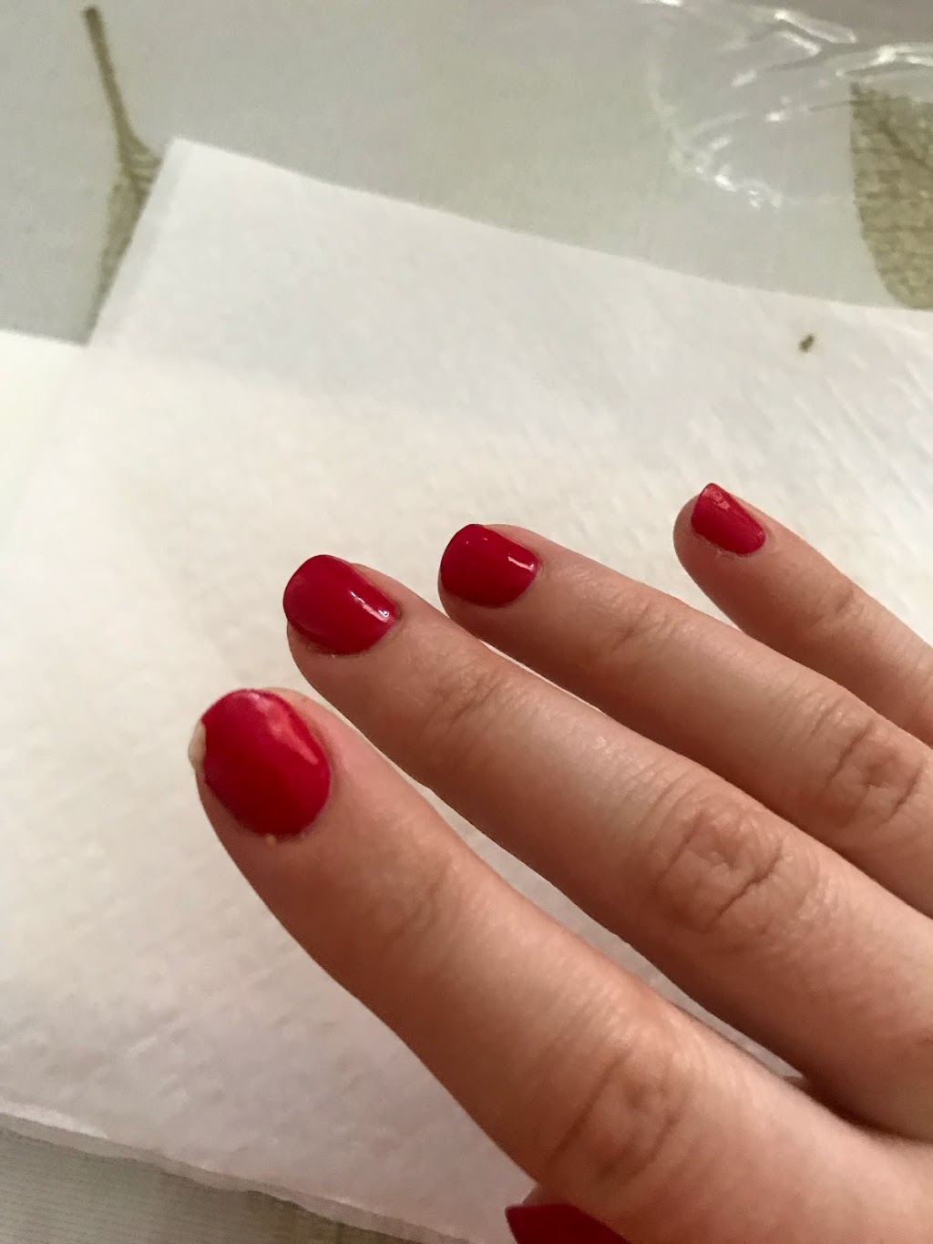 Best Nail Salon | 3220 Weston Rd, North York, ON M9M 2T4, Canada | Phone: (416) 748-3883