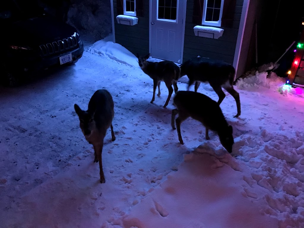 La Chaumière de lAnse | 107 Chemin de lAnse, Mont-Tremblant, QC J8E 1H1, Canada | Phone: (514) 609-7788