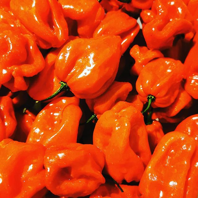 J&C Habanero | 910 Somerville St, Oshawa, ON L1G 4J7, Canada | Phone: (416) 879-5927
