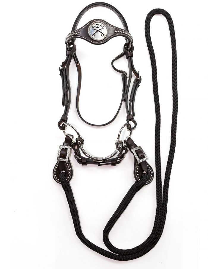 Russ Krachun Kozak Horsemanship | 906 Moneymore Rd, Roslin, ON K0K 2Y0, Canada | Phone: (613) 242-9971