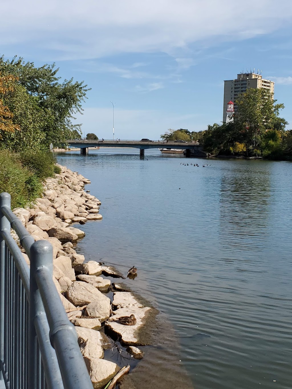 Mississauga Canoe Club | 31 Front St N, Mississauga, ON L5H 2E8, Canada | Phone: (905) 274-2127