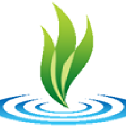 Wishingtree Yoga | 72 McClintock Way, Kanata, ON K2L 2A2, Canada | Phone: (613) 592-3287