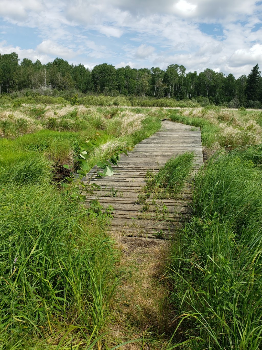 Whiteshell Provincial Park | Whitemouth, MB R0E 1L0, Canada | Phone: (204) 945-3744