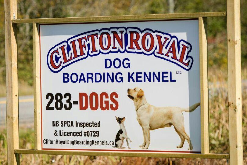 Clifton Royal Dog Boarding Kennels Ltd | 1297 route 845, Clifton Royal, NB E5S 2B7, Canada | Phone: (506) 283-3647
