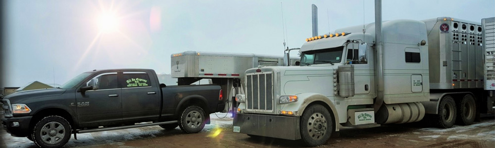 All In Express Ltd | 813 High St W, Moose Jaw, SK S6H 6L7, Canada | Phone: (306) 313-0055