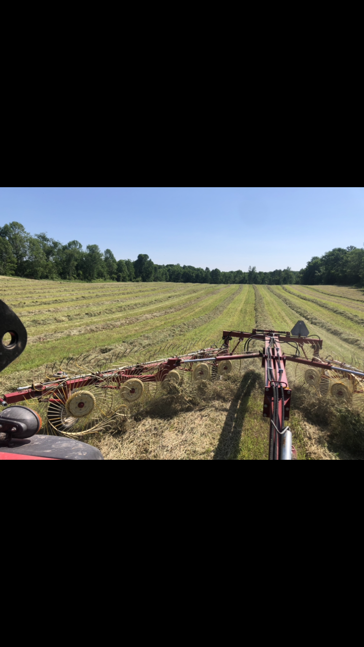 MadocCreek Farm | 642 Woods Rd, Madoc, ON K0K 2K0, Canada | Phone: (613) 403-4886