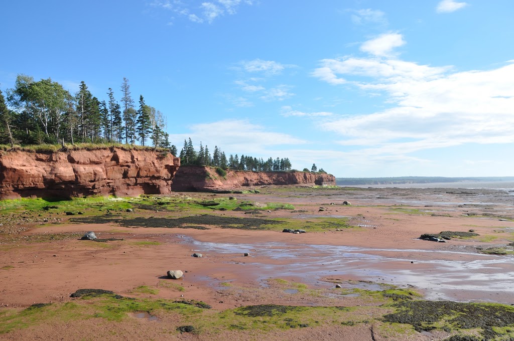 The Tidal Life Guesthouse | 78 Cedar Rd, Maitland, NS B0N 2H0, Canada | Phone: (902) 957-1524