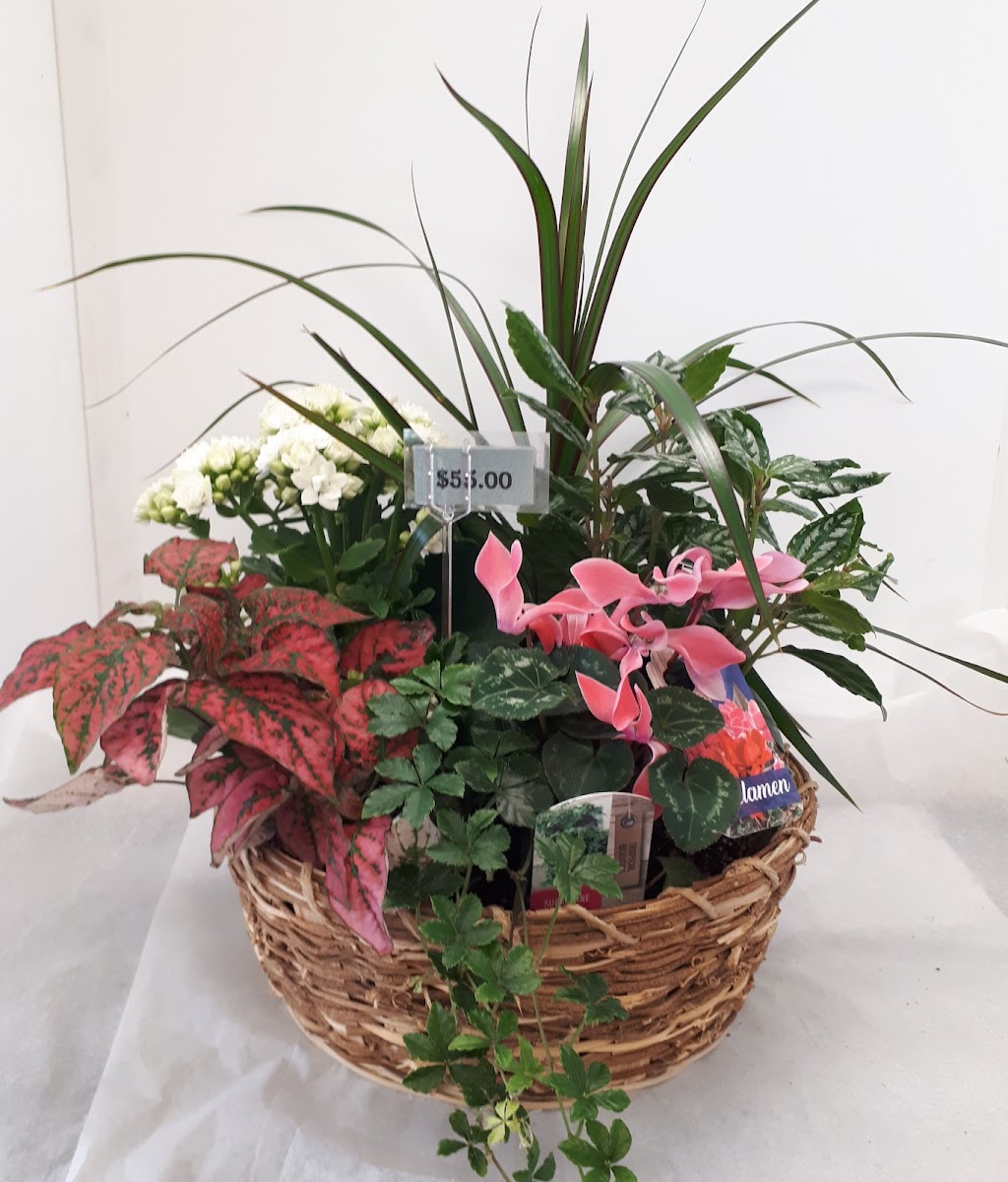 Delmerie Flowers | 66 10 Ave SE #5, High River, AB T1V 1E7, Canada | Phone: (403) 652-2674