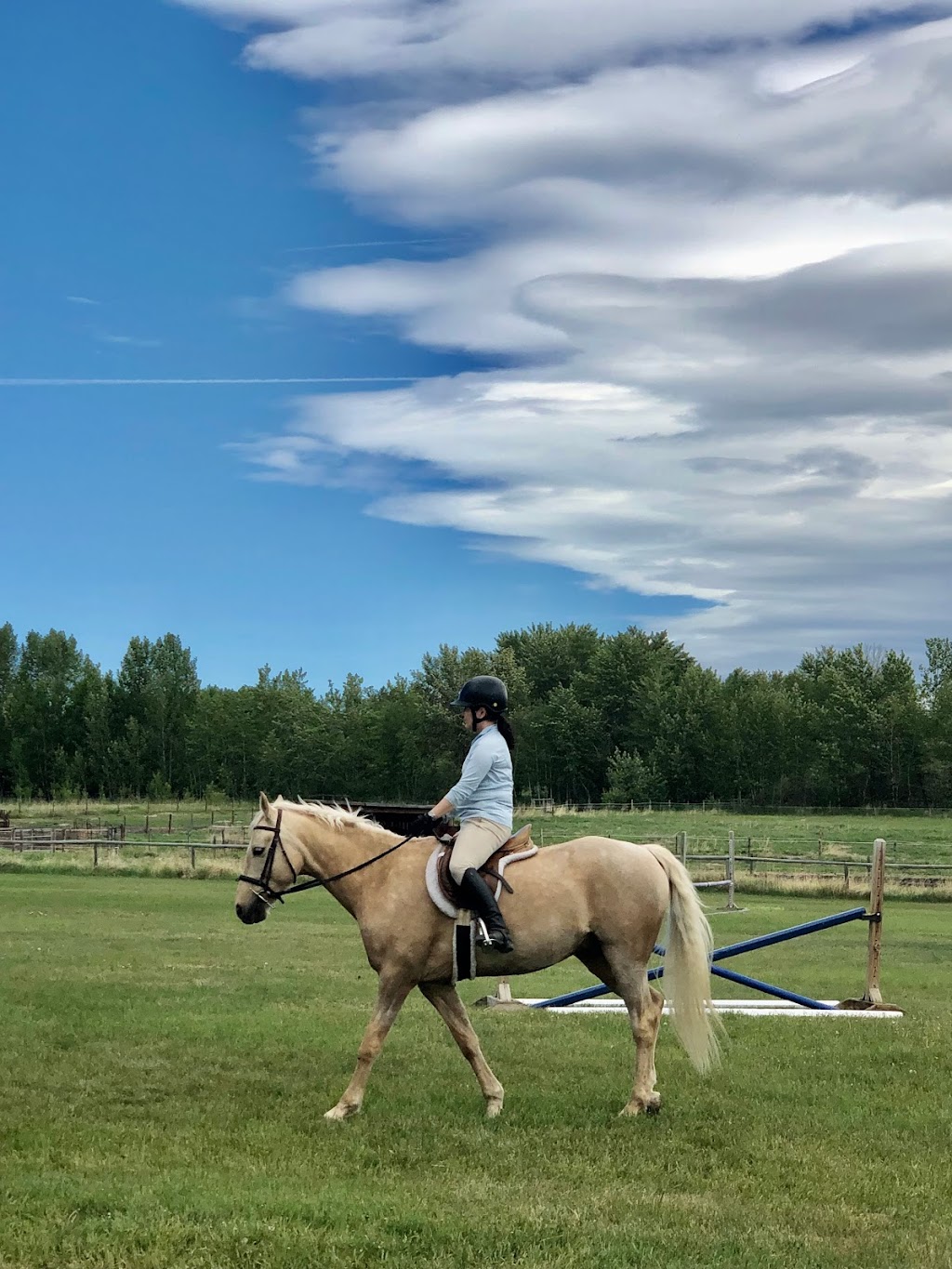 Willow Grove Stables | 80137 2253 Dr E, Alberta T1S 4V2, Canada | Phone: (403) 540-5380