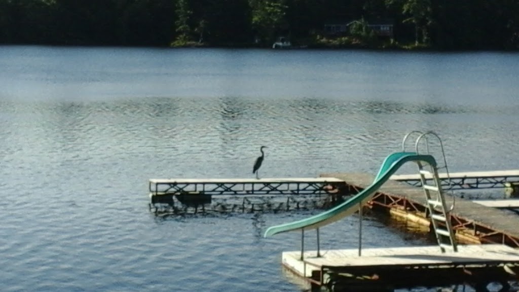Blue Mountain Marina | 124 Blue Mountain Rd #338, Lakefield, ON K0L 2H0, Canada | Phone: (705) 877-2159