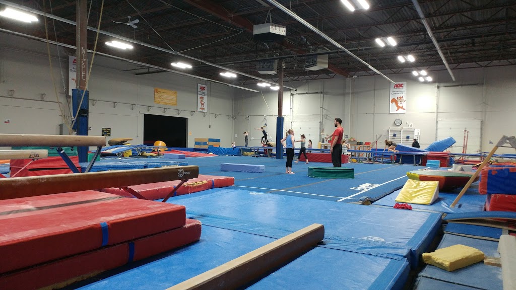 Altadore Gymnastic Club | 10905 48 St SE #128, Calgary, AB T2C 3E1, Canada | Phone: (403) 720-2711