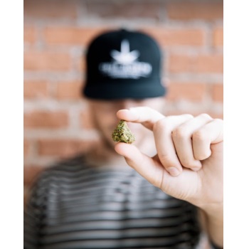 True North Cannabis Co - Mississauga Dispensary | 1370 Dundas St E #7, Mississauga, ON L4Y 2A5, Canada | Phone: (905) 615-1215