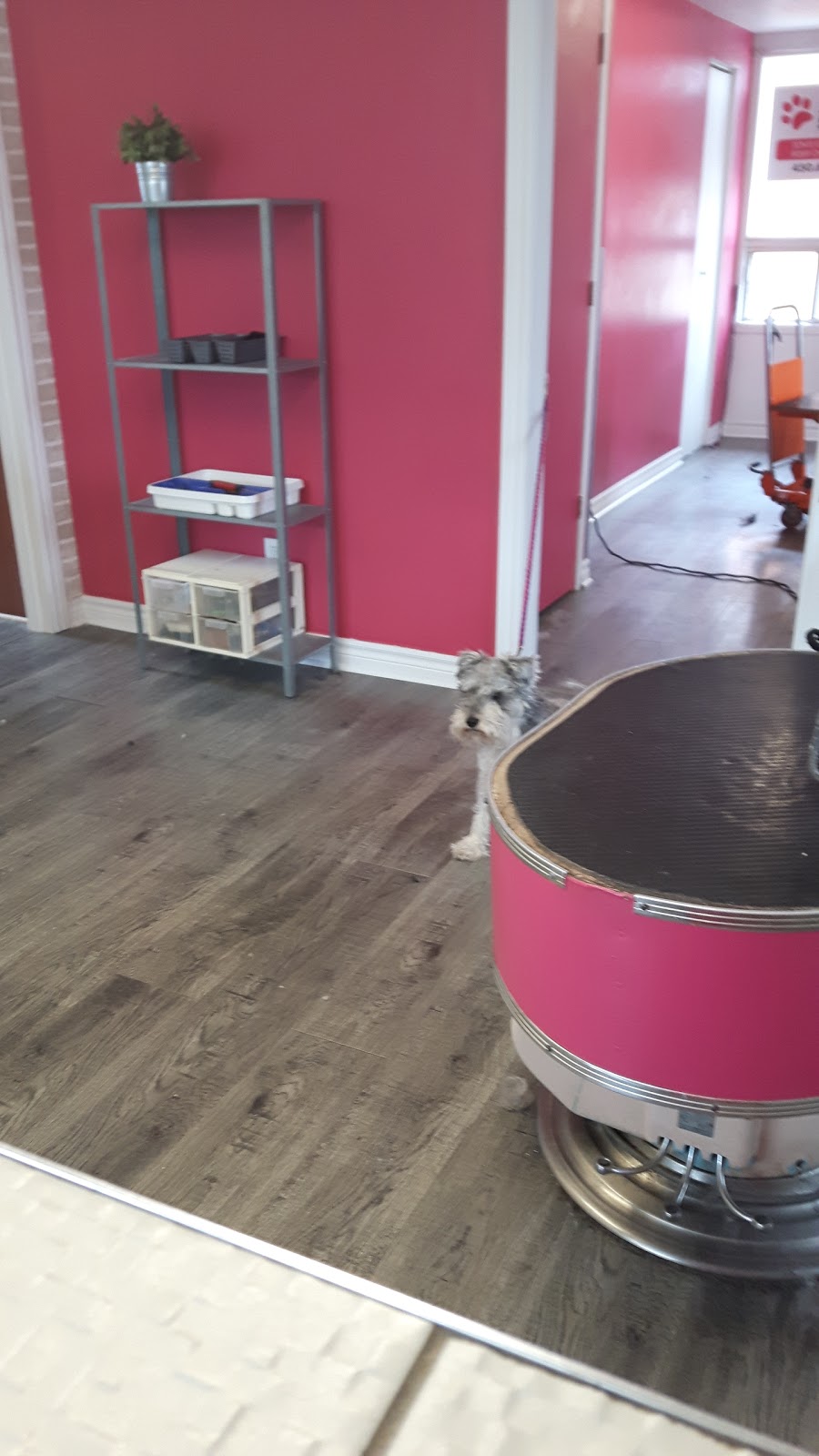 Aux Bons Soins | 405 Bd Adolphe-Chapleau, Bois-des-Filion, QC J6Z 1K8, Canada | Phone: (450) 621-0938