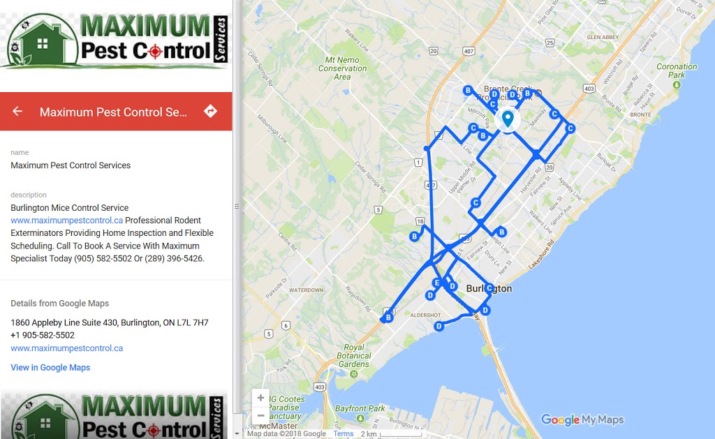 Maximum Pest Control Services | 1860 Appleby Line Suite 430, Burlington, ON L7L 7H7, Canada | Phone: (905) 582-5502