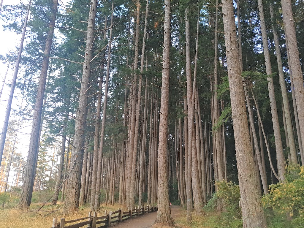 Rathtrevor Beach Campground | 1240 Rath Rd, Parksville, BC V9P 2E2, Canada | Phone: (250) 474-1336