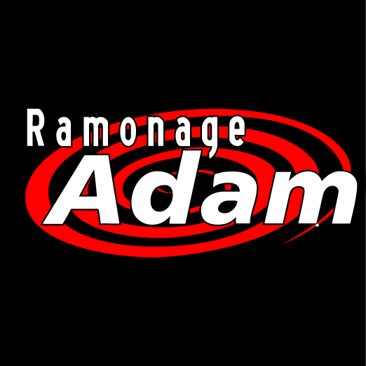 Ramonage Adam | 75 Place Lemarier, Trois-Rivières, QC G8T 8G7, Canada | Phone: (819) 373-3088