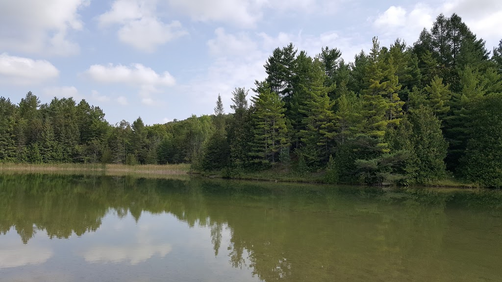 Allan Park Conservation Area | 301820 Concession Rd 2 SDR, Hanover, ON N4N 3B8, Canada | Phone: (519) 367-3040