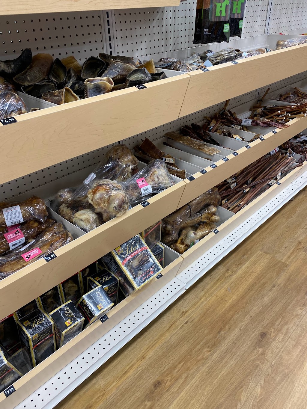 Rens Pets Stouffville | 1040 Hoover Park Dr, Gormley, ON L0H 1G0, Canada | Phone: (905) 209-6867