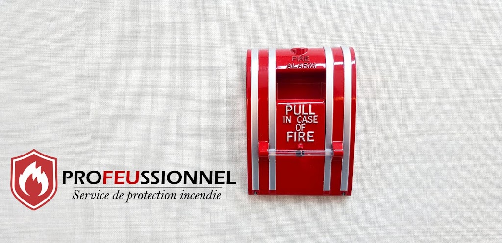 ProFEUssionnel | 1214 Rue des Chic-chocs, Repentigny, QC J5Y 0K1, Canada | Phone: (438) 558-2081