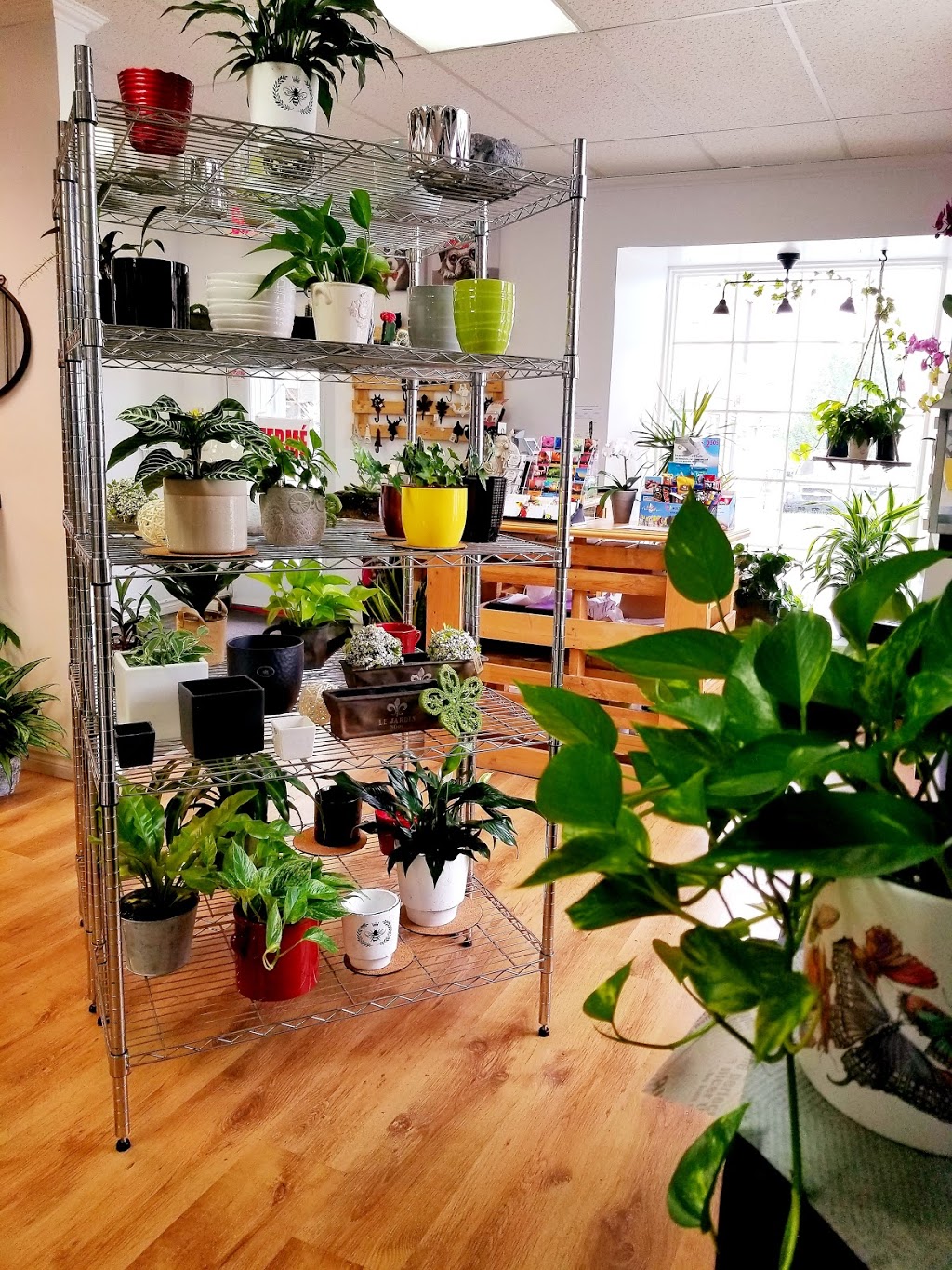 Fleuriste Beauharnois | 124 Rue Saint Laurent, Beauharnois, QC J6N 1V9, Canada | Phone: (450) 395-0876