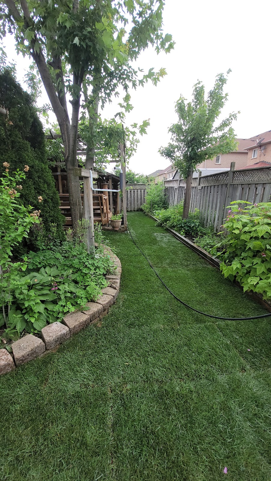 GREENER LAND | 40 Brookview Rd, Brampton, ON L6X 2V9, Canada | Phone: (647) 766-9906