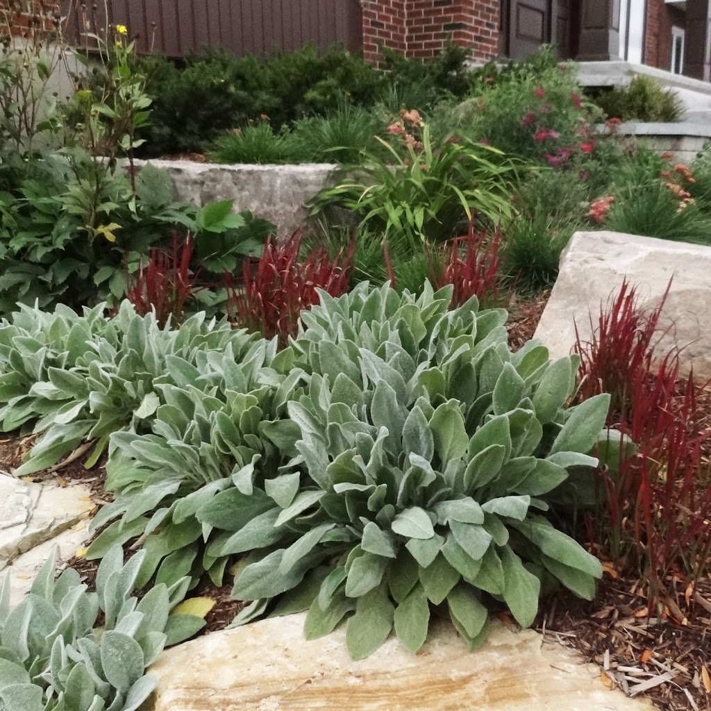 Horta Créateurs de Jardins | 63 Chem. Dubeau, Arundel, QC J0T 1A0, Canada | Phone: (514) 212-0534