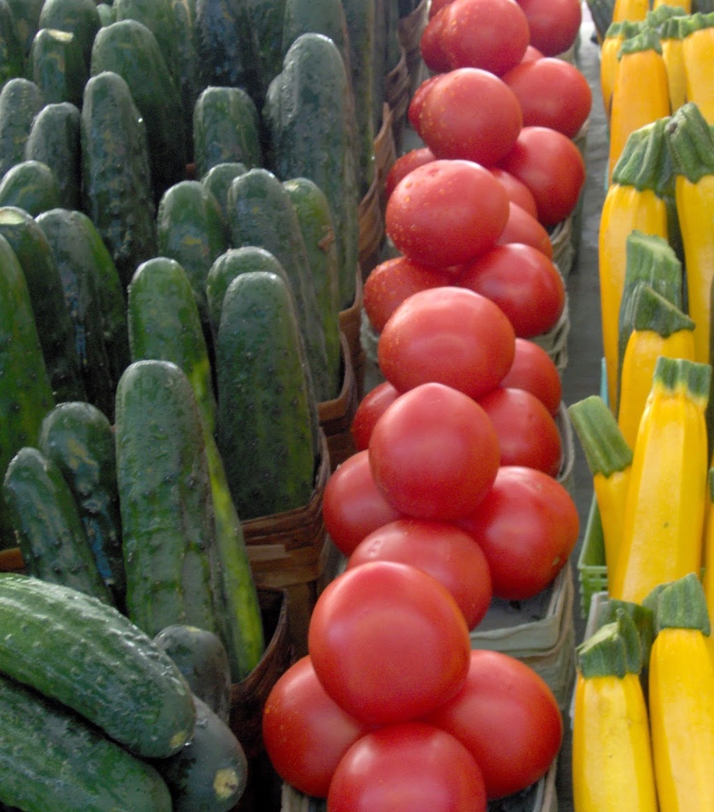 Enracinés - fermette & jardinerie | 2e, Avenue 1 Domaine Morin #317, Saint-Gabriel-de-Brandon, QC J0K 2N0, Canada | Phone: (514) 717-2915