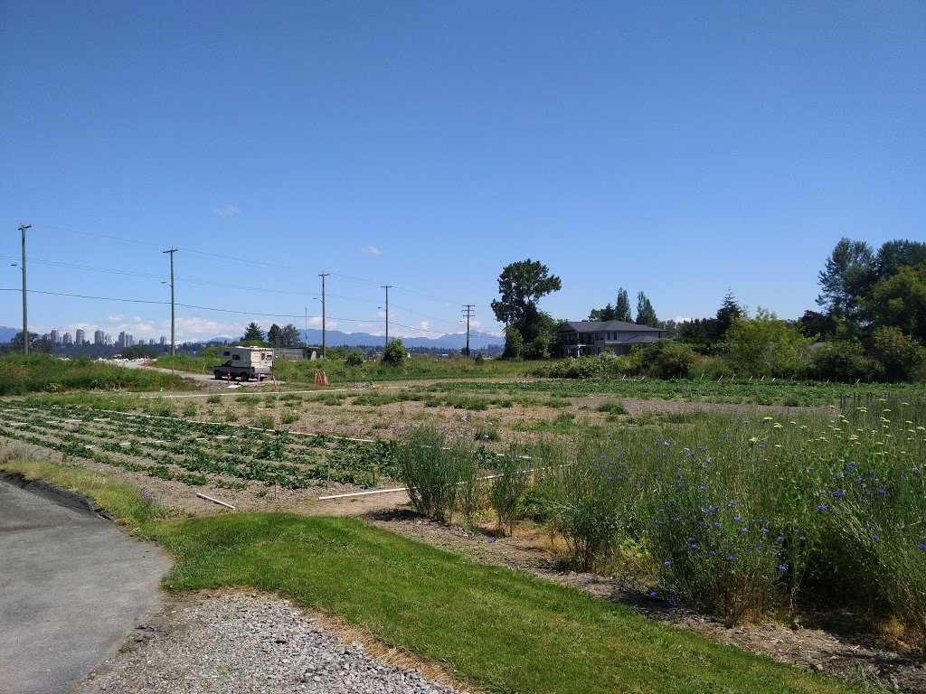 Bridgeview Developments | 23200 Gilley Rd, Richmond, BC V6V 2L6, Canada | Phone: (604) 524-8211