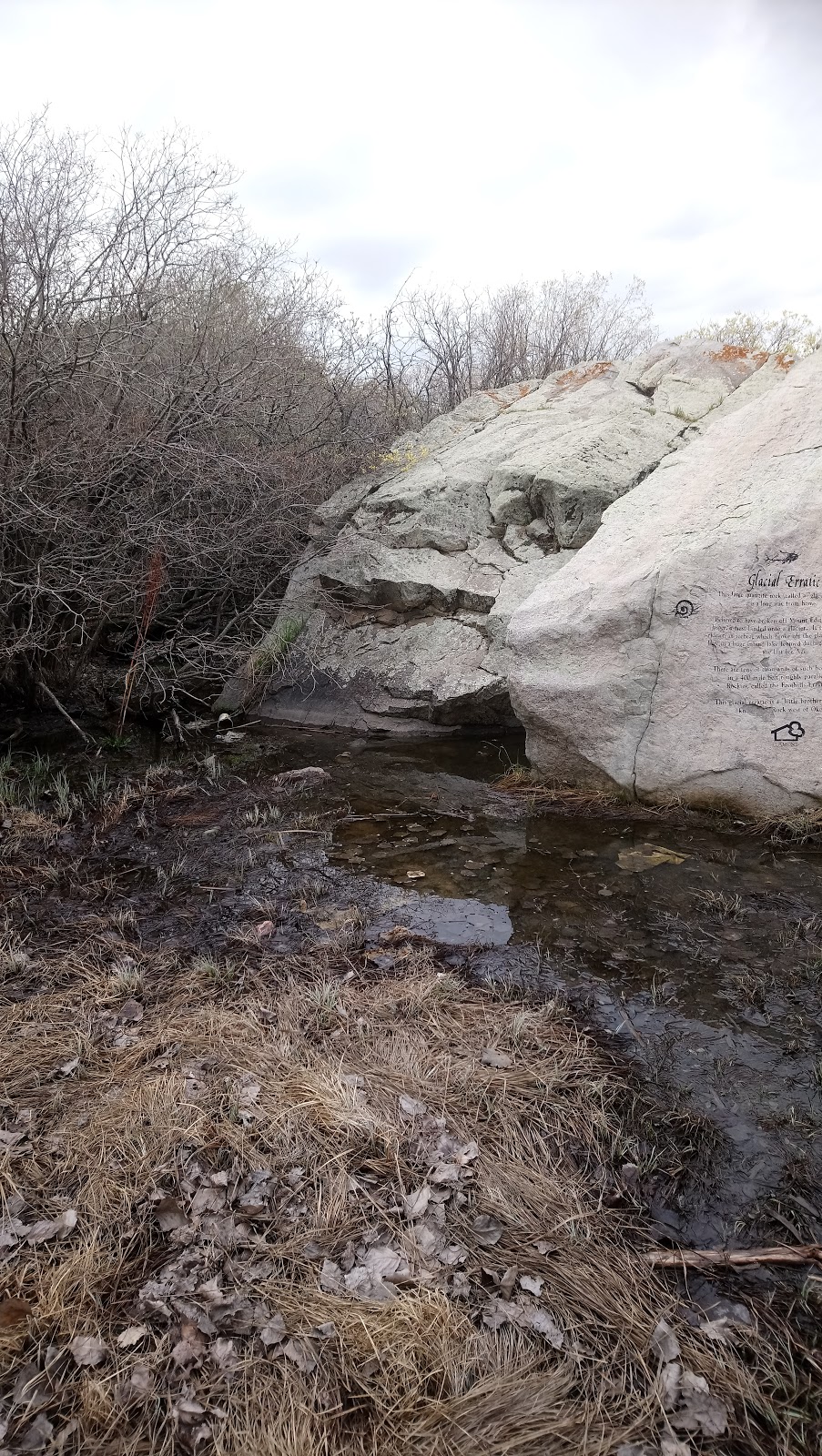 Bridlewood Wetlands Park | 45 Bridlecreek Park SW, Calgary, AB T2Y 3N6, Canada | Phone: (403) 268-2489