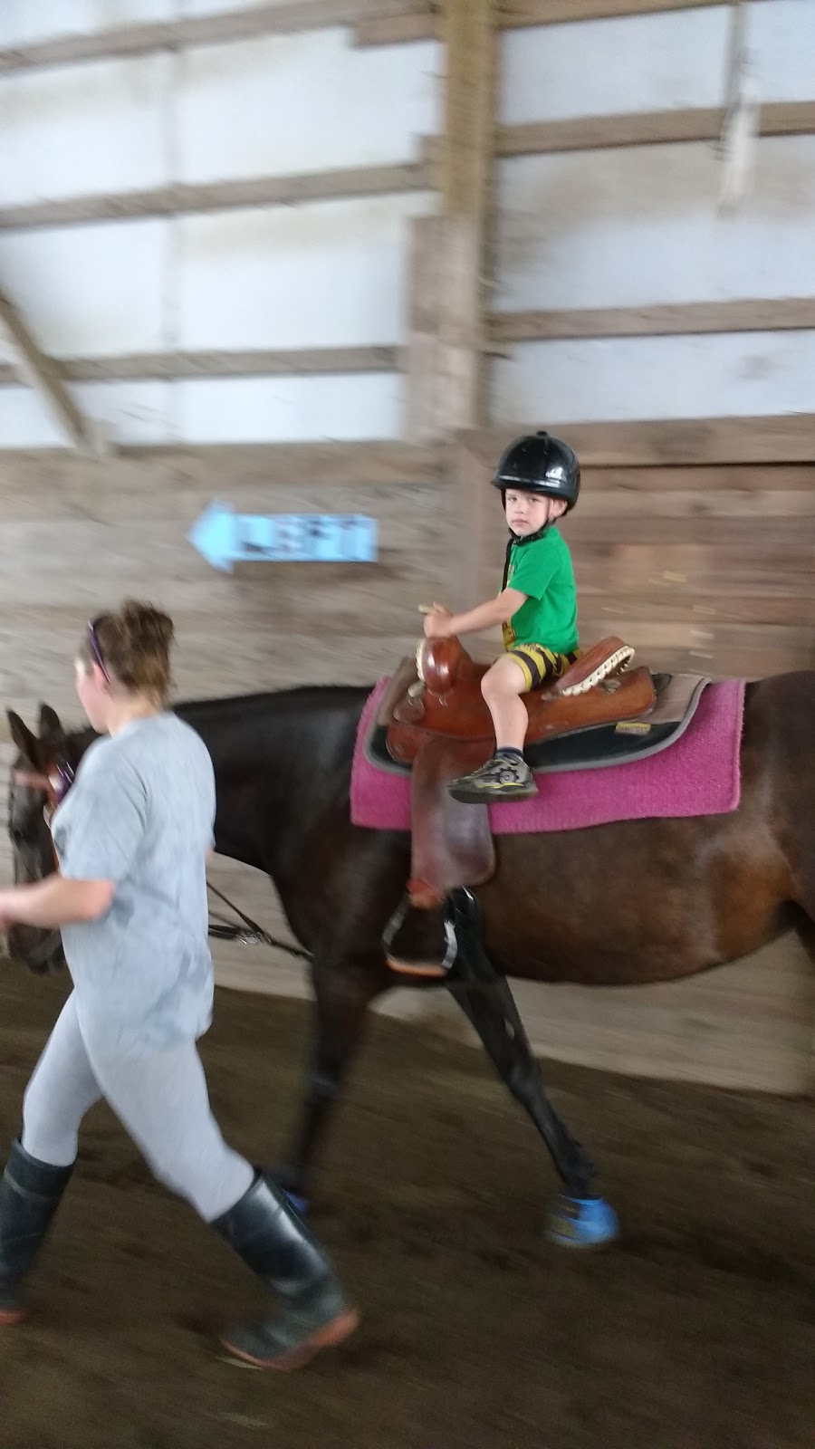 Oakley Stables | 1371 NS-12, Chester Basin, NS B0J 1K0, Canada | Phone: (902) 275-5762