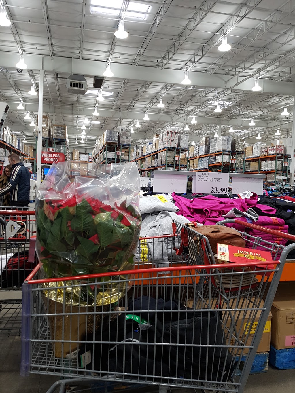 Costco Wholesale | department store | 12450 149 St NW, Edmonton, AB T5V 1G9, Canada | 7804557575 OR +1 780-455-7575