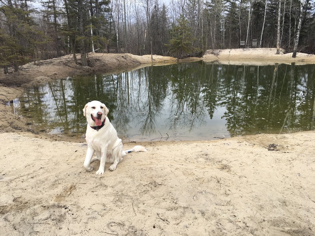 Beausejour Animal Hospital | Corner of Highways 302 and 44, Beausejour, MB R0E 0C0, Canada | Phone: (204) 268-2177