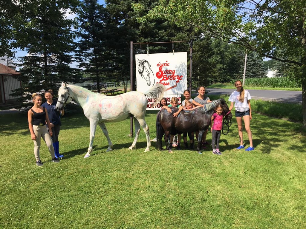 Stable SunnyBreeze Stable | 4552 Chemin Bellerive, Carignan, QC J3L 3P9, Canada | Phone: (514) 641-4627