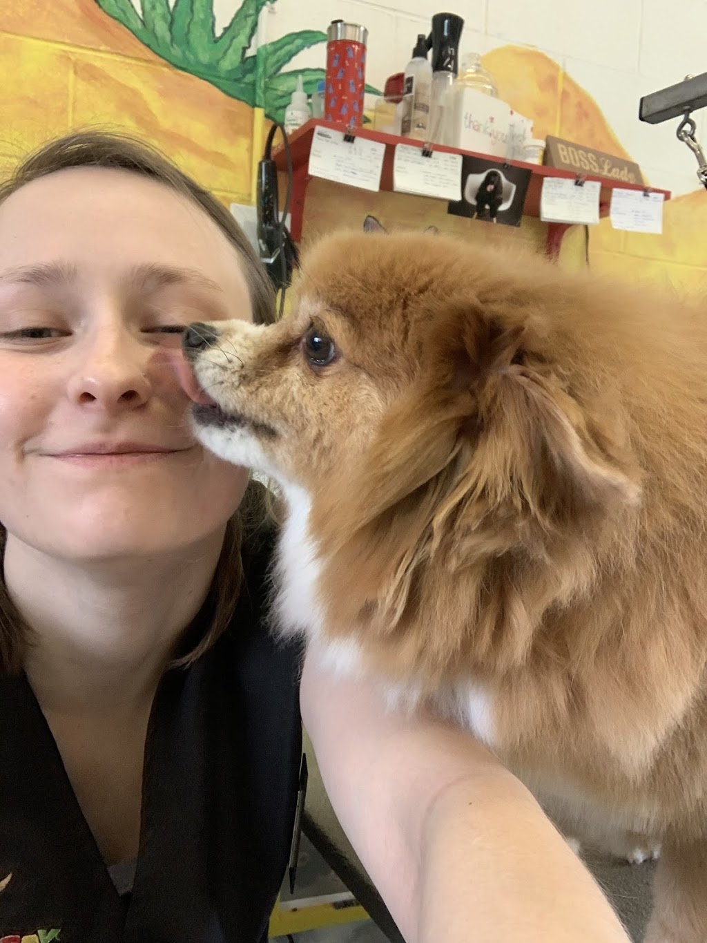 Ola Puppy Dog Grooming | 12516 Harris Rd, Pitt Meadows, BC V3Y 2J4, Canada | Phone: (604) 465-0909