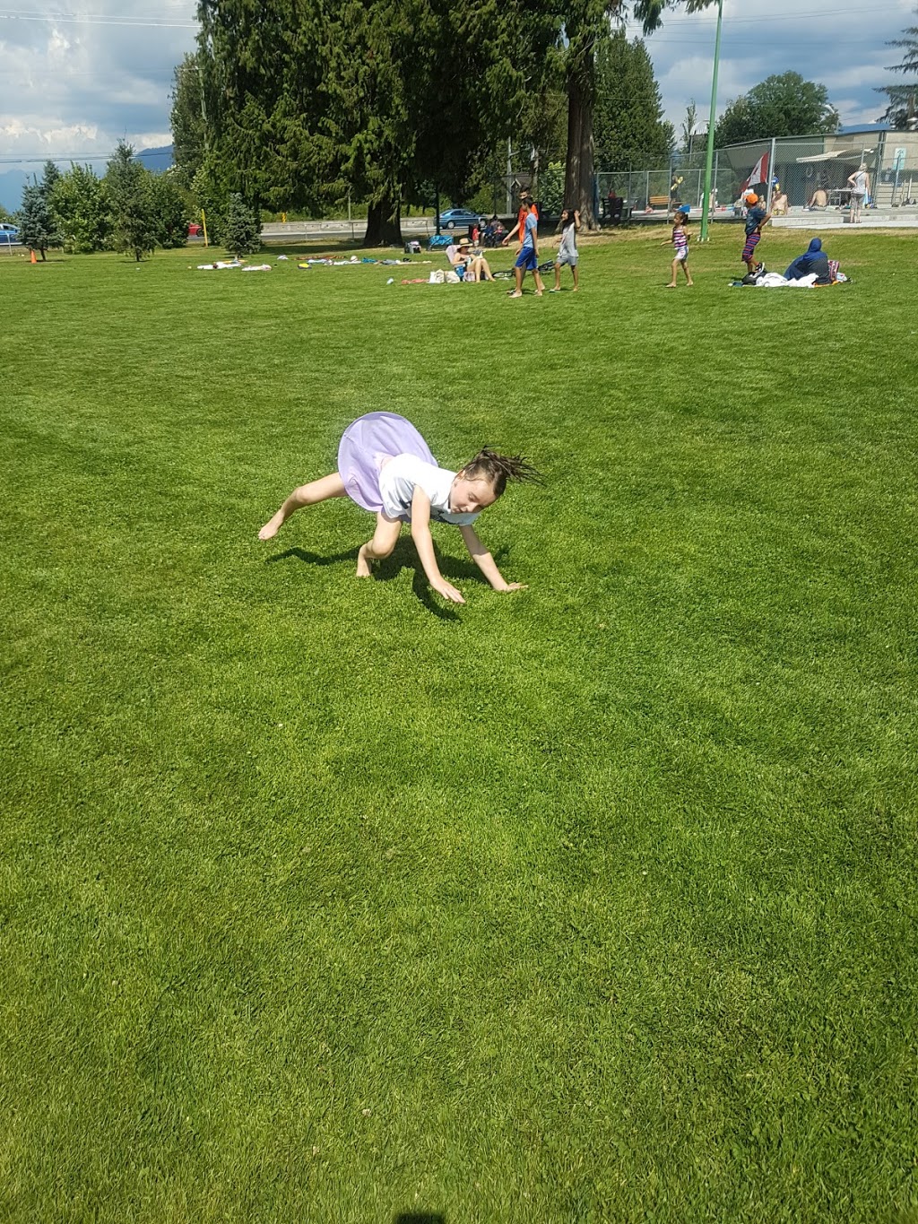 Harris Road Pool | 12460 Harris Rd, Pitt Meadows, BC V3Y 2J5, Canada | Phone: (604) 465-6121