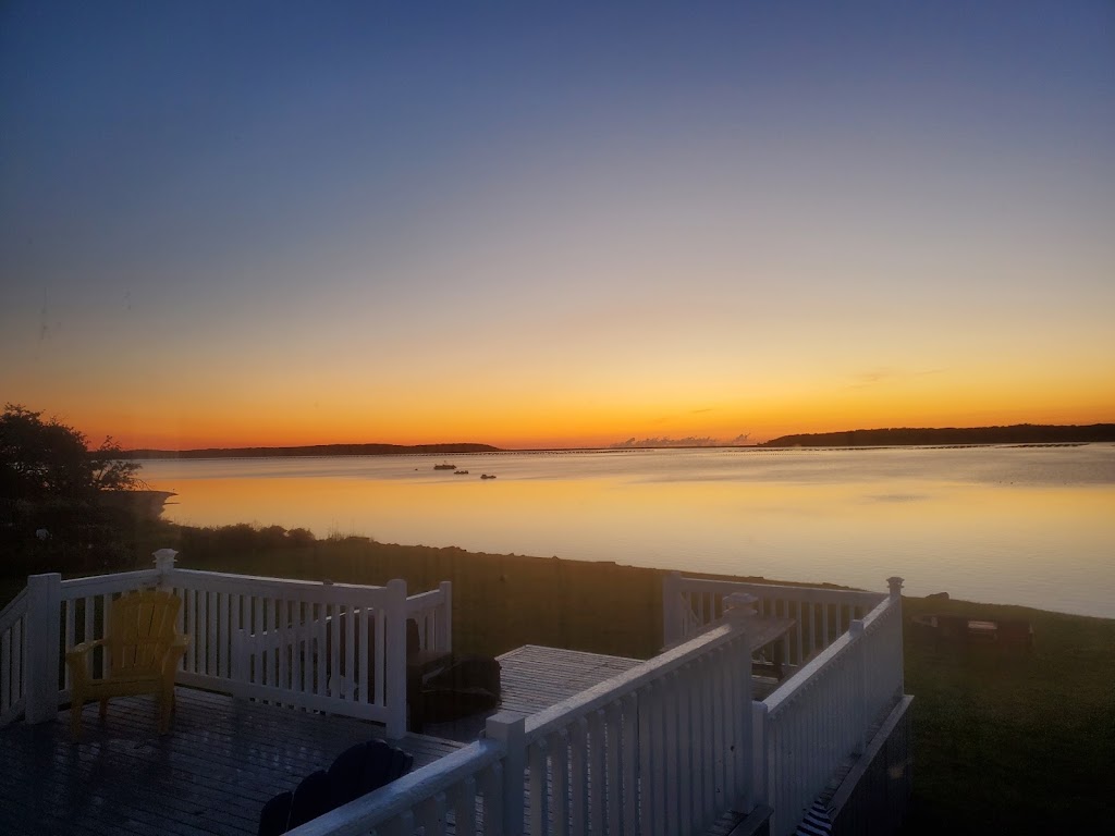 The Salty Dog | Dundas Parish, NB E4R 2N6, Canada | Phone: (780) 238-8833
