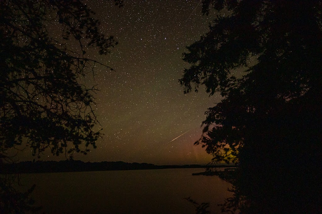 Wayne Darryl Harris Photography | 29 Lasby Ln, Acton, ON L7J 2W9, Canada | Phone: (519) 853-2448