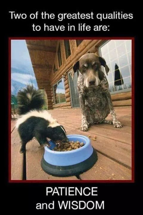 Northwest Hypnosis Center | 9 Topside Court, Bellingham, WA 98229, USA | Phone: (360) 684-1814
