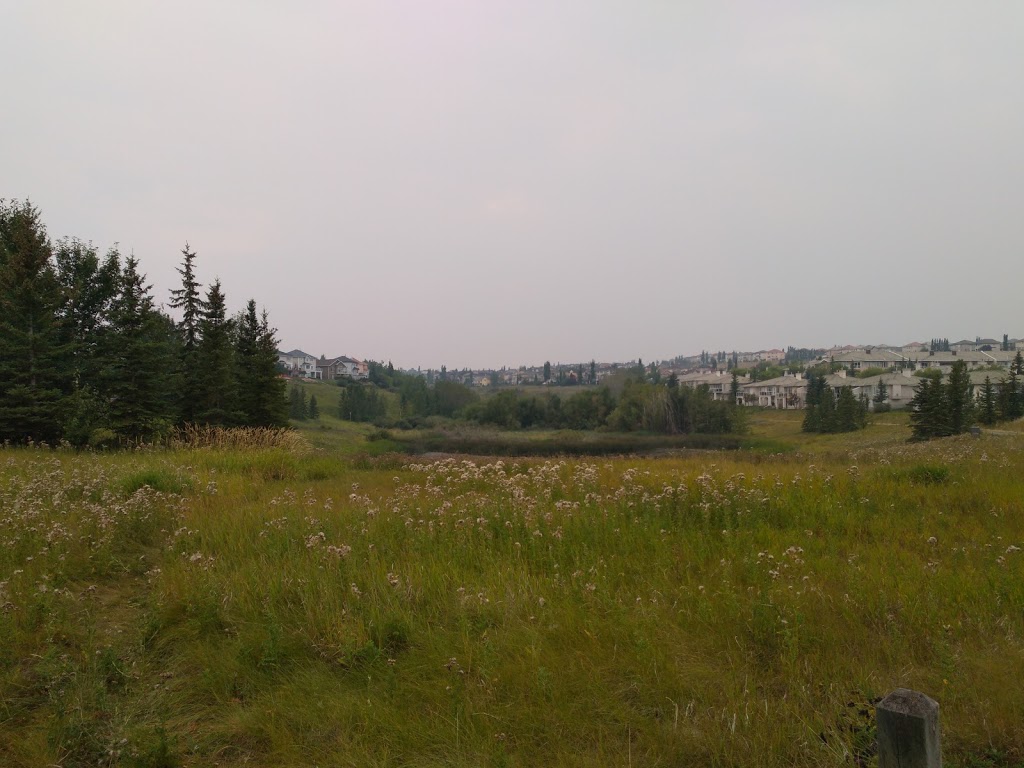 Edgemont Wetland | 9401 Edgebrook Blvd NW, Calgary, AB T3A 5T6, Canada