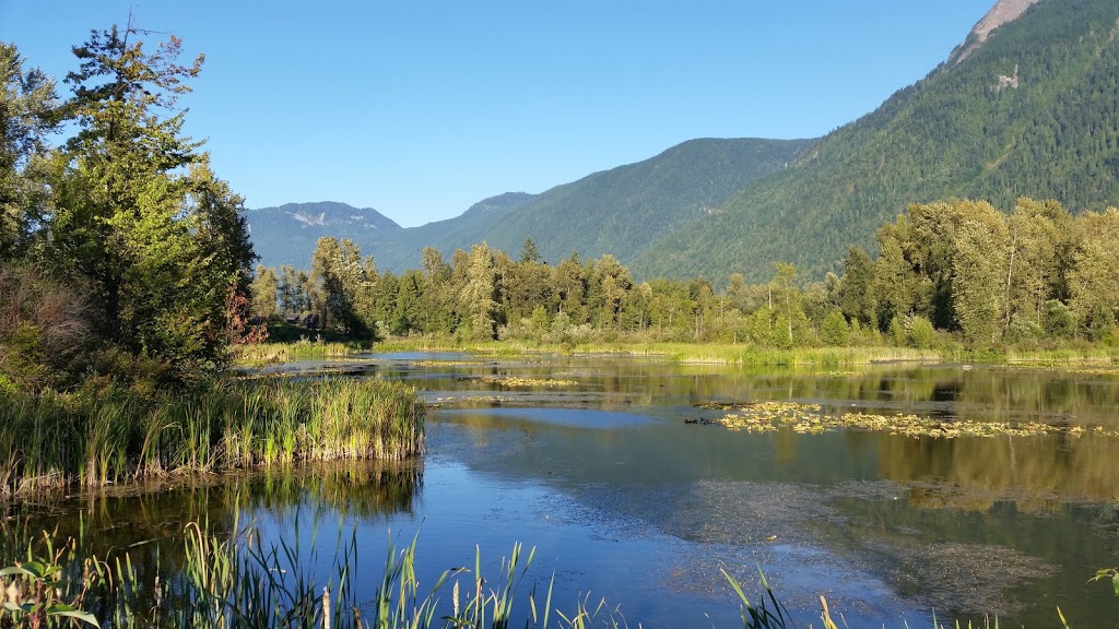 Cheam Lake Wetlands Regional Park | 53480 Elgey Rd, Rosedale, BC V0X 1X1, Canada | Phone: (604) 702-5000