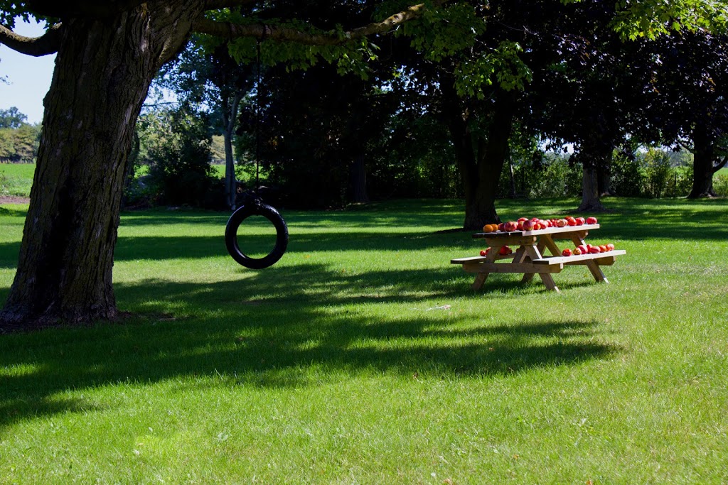 Shark Lawn Specialists | 6924 Horizon Trail, Millbank, ON N0K 1L0, Canada | Phone: (519) 900-5684