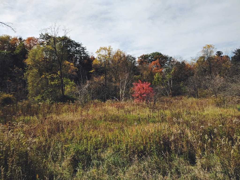 Maple Valley Park | 26 Prince Edward Blvd, Thornhill, ON L3T 7G2, Canada