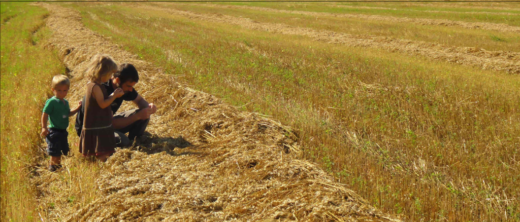 Adagio Acres | Clarkleigh Rd, Lundar, MB R0C 1Y0, Canada | Phone: (204) 762-5892