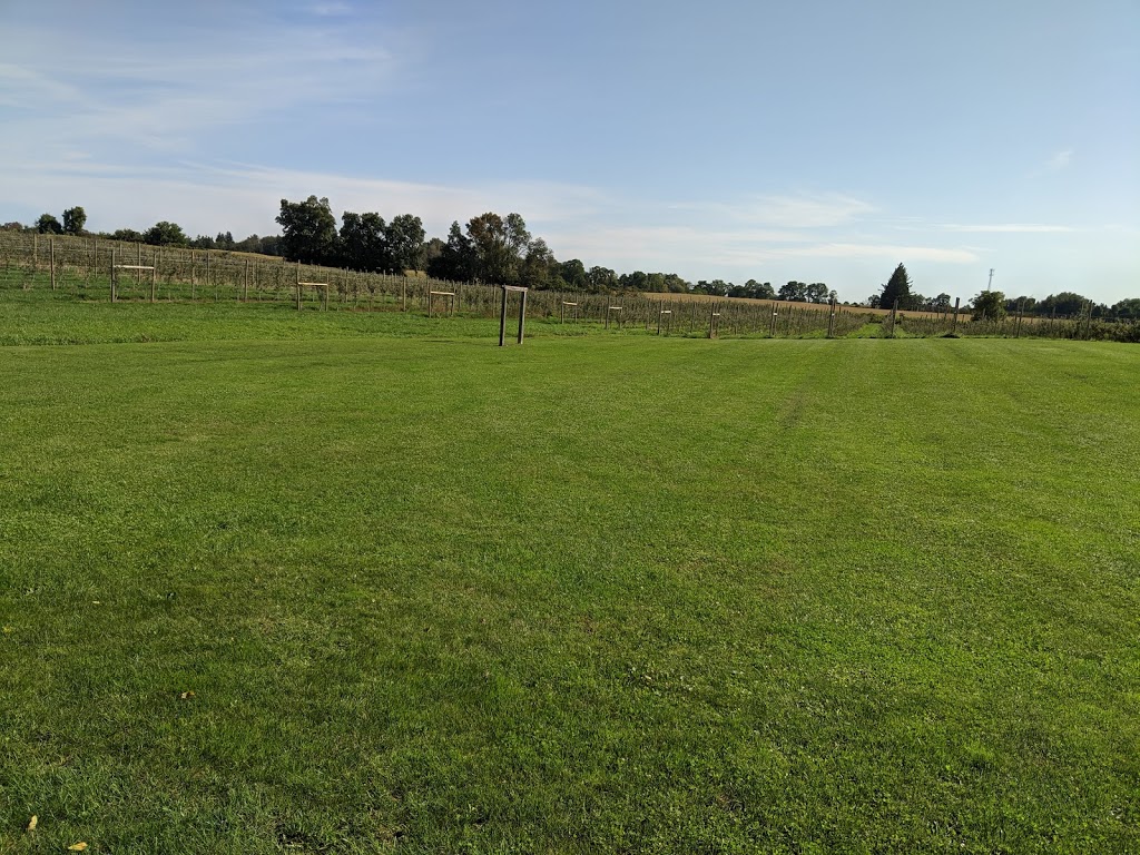 Brantview Apples And Cider | 225 Howell Rd, Saint George, ON N0E 1N0, Canada | Phone: (519) 448-1323